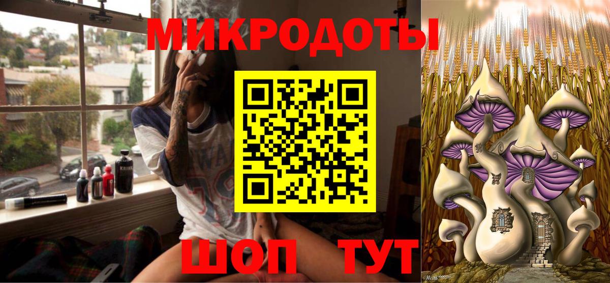 Галлюциногенные грибы GOLDEN TEACHER  Галлюциногенные грибы ЛСД  закладки  Вход с VPN  Новозыбков 
