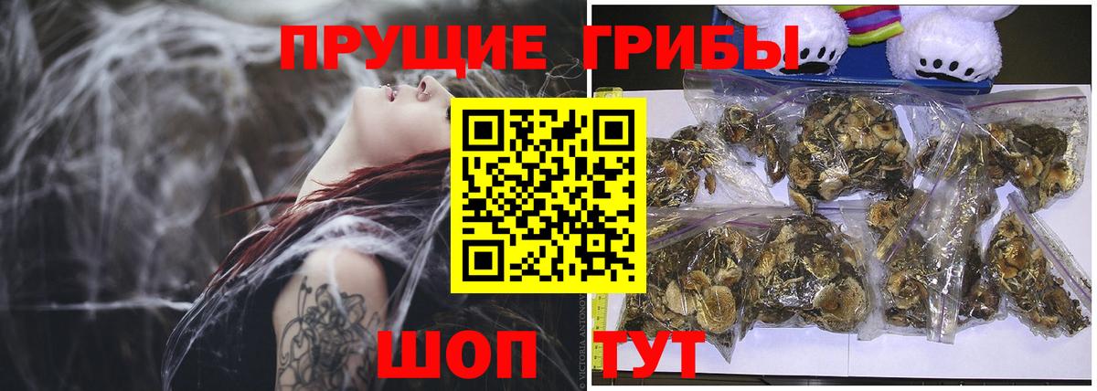 Галлюциногенные грибы Magic Shrooms Новозыбков